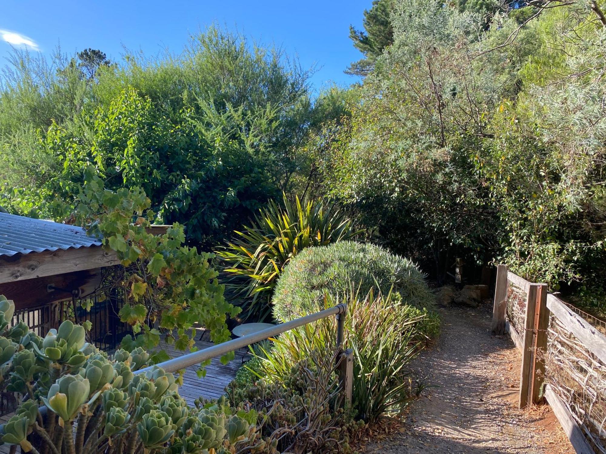 Sutton Spring Art Retreats Apartman Daylesford Kültér fotó