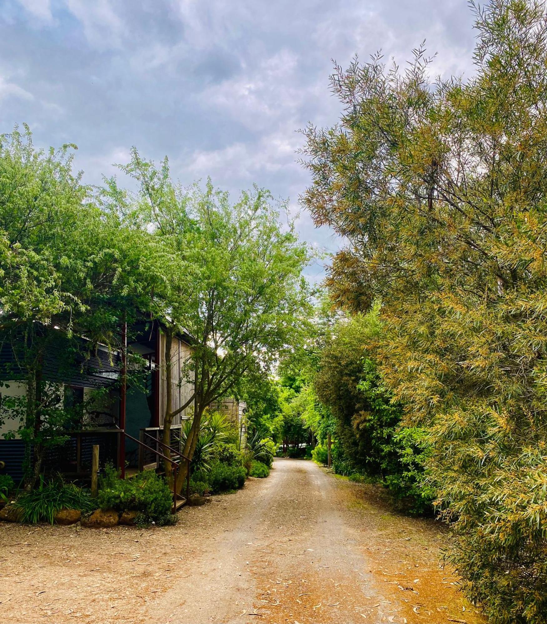 Sutton Spring Art Retreats Apartman Daylesford Szoba fotó
